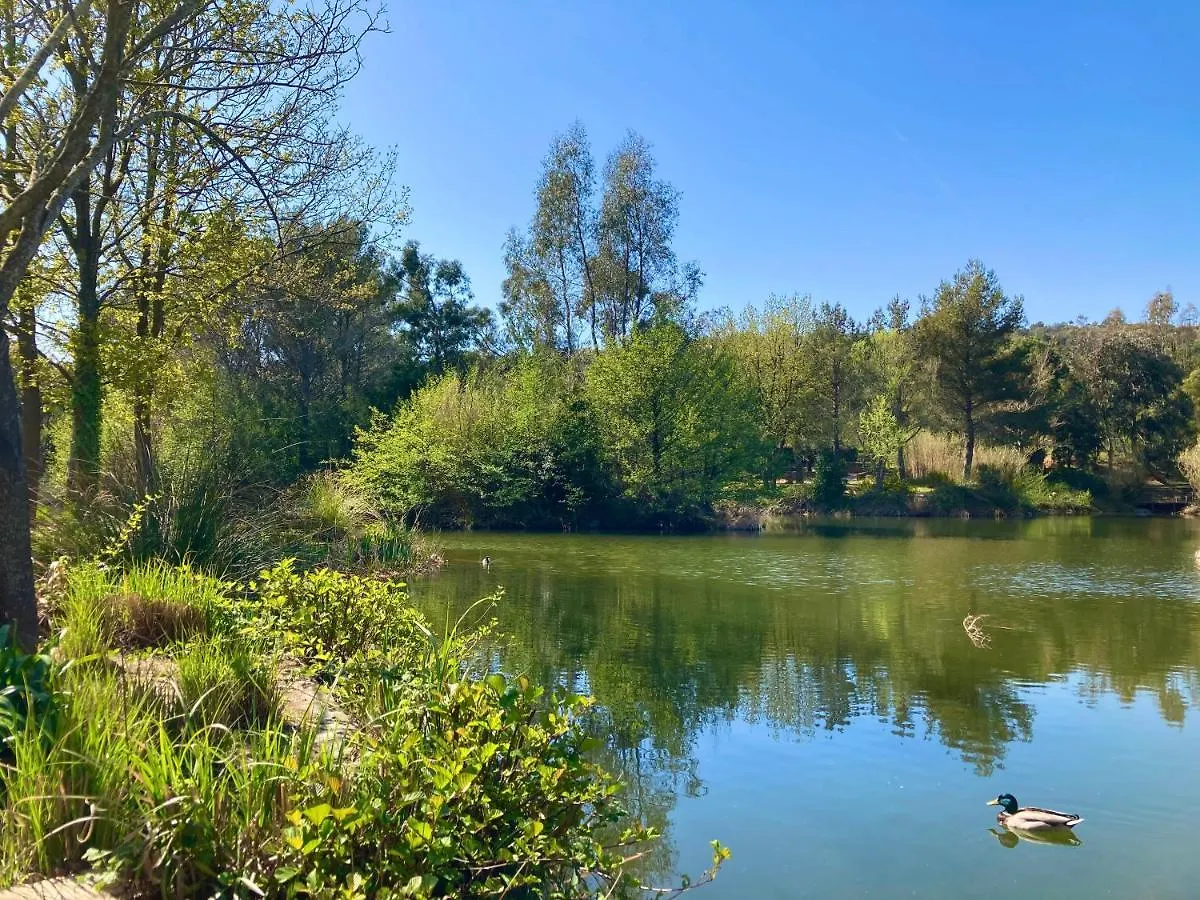 Appartamento Les Restanques 2268 Glycines Grimaud